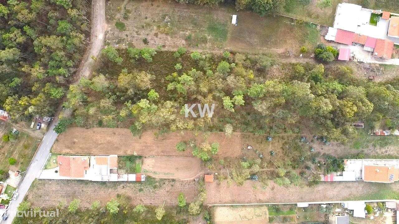 Terreno Plano para Construção em Souto, Santa Maria da Feira - 1977m2 - Grande imagem: 3/15