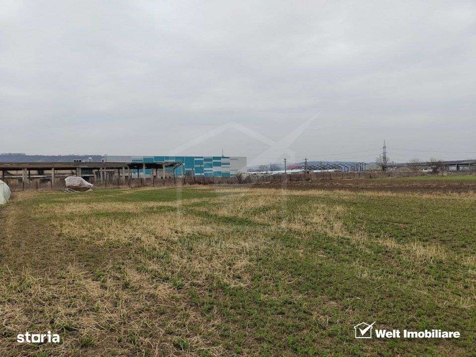 Teren industrial 3500mp, Apahida - Imagine principală: 2/3