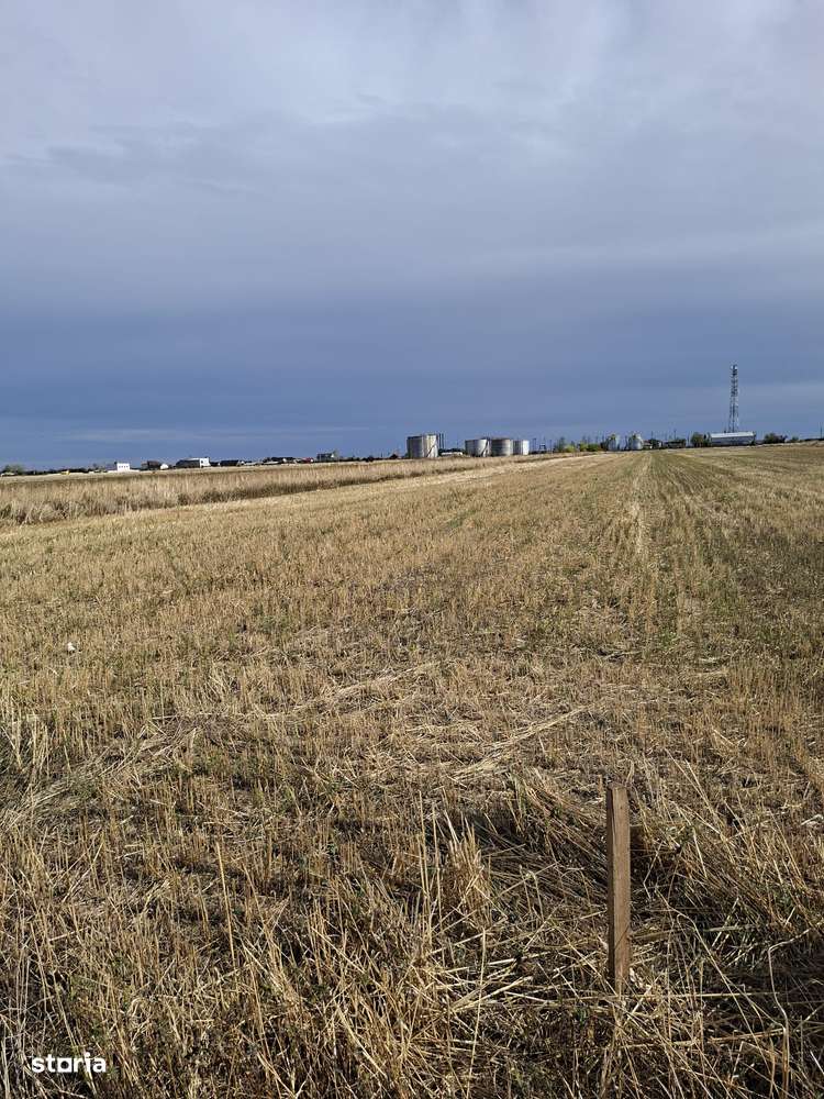 Teren intravilan Ghercești - Imagine principală: 3/4