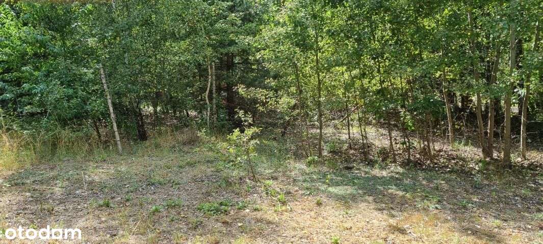 Działka, 1 000 m², Rusiec-6