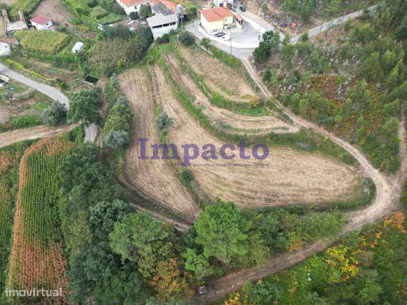 Terreno misto em Escariz, Arouca - Grande imagem: 4/14