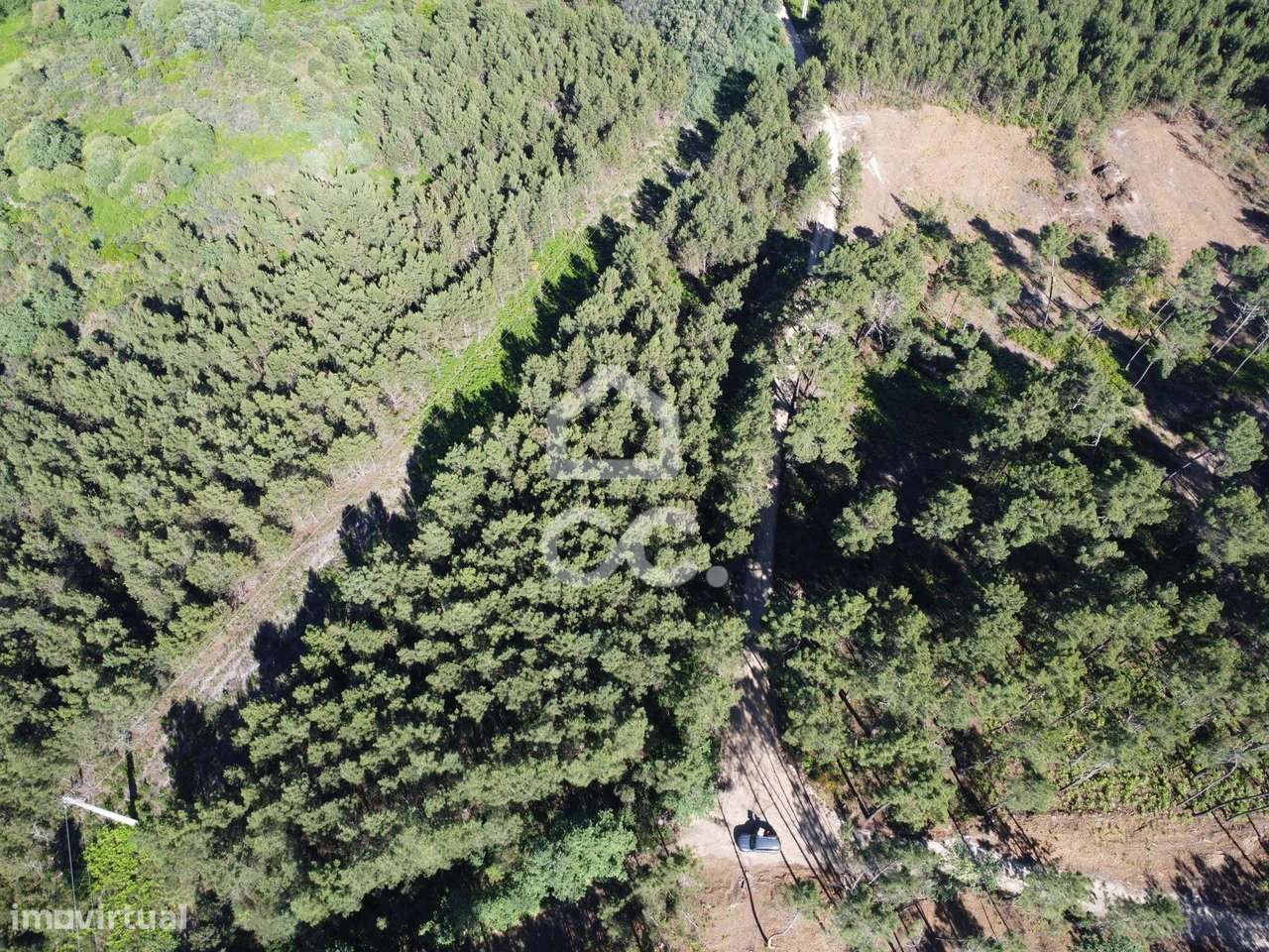 Terreno para investimento com pinheiro em Redondelo - Grande imagem: 4/18