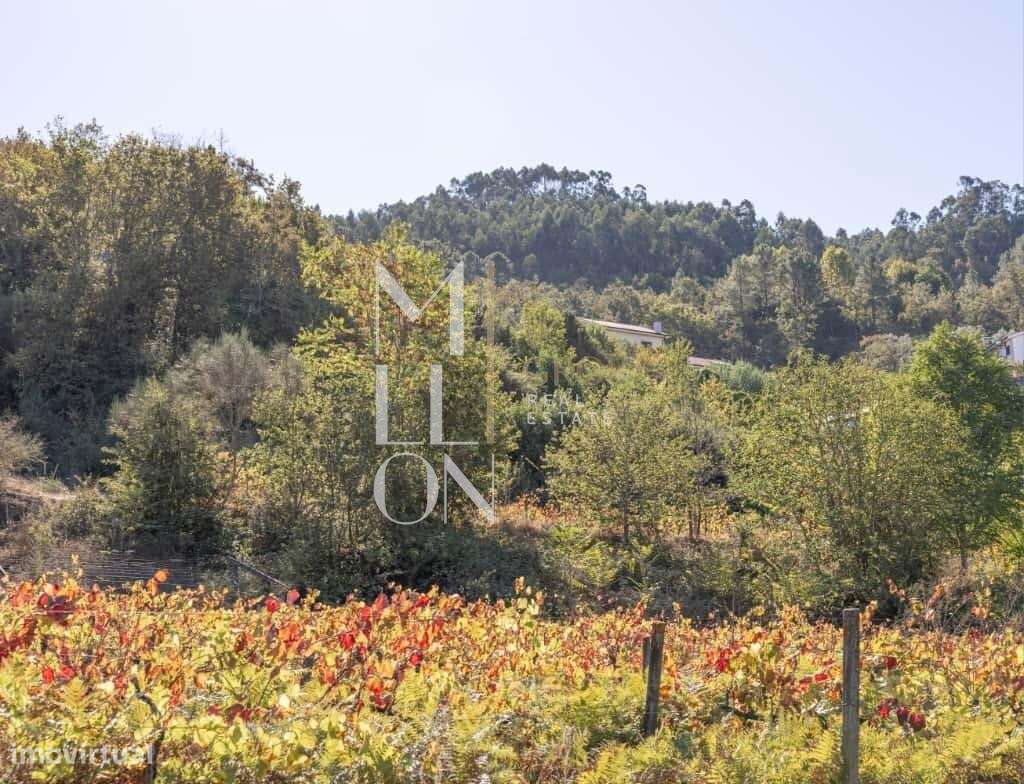 Quinta para venda em Jazente (Amarante) - Grande imagem: 4/29