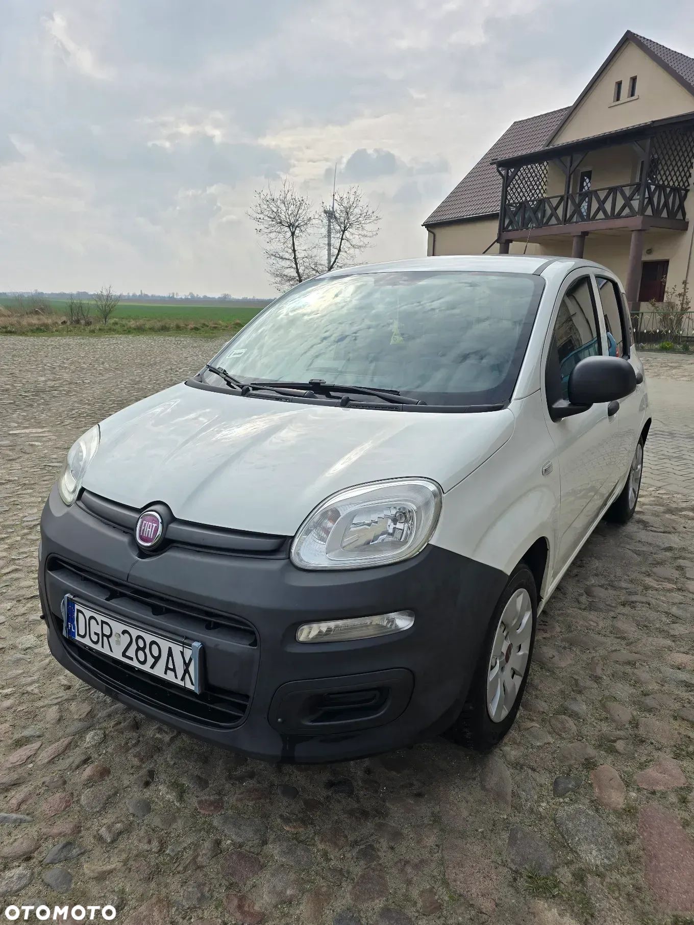 Fiat Panda 1.2 Active Eco - 1