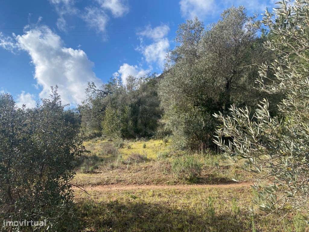 Lote de terreno rústico, com 3.130m2, Loulé, Algarve - Grande imagem: 4/22
