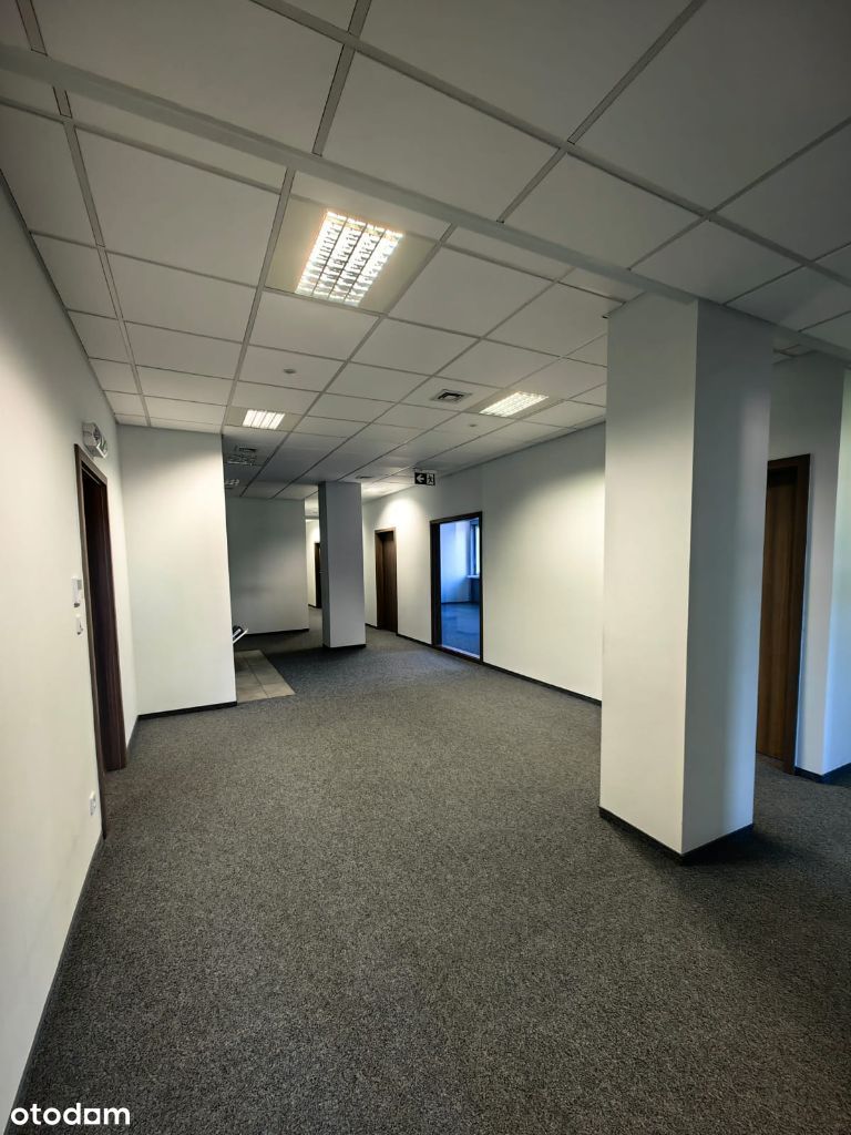 Wynajem -Lokal użytkowy, biura Poznań-167-600 m²