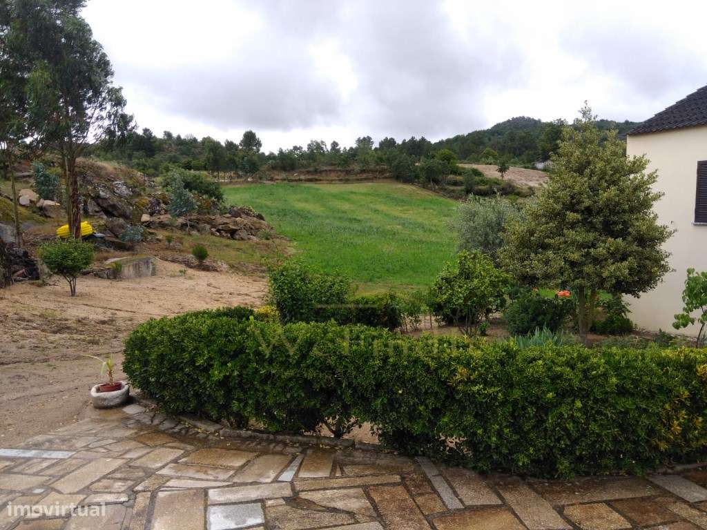 Quinta de 5ha no Coração do Douro - Riodades-9