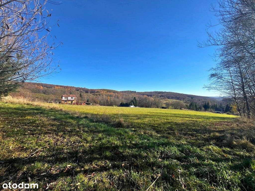 Widokowa Działka 29 Arów W Otoczeniu Lasu! - Pełny obrazek: 3/5