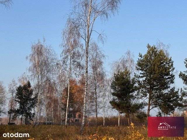 Na sprzedaż 4 działki w Nowomłynach gm Parzęczew o - Pełny obrazek: 5/15