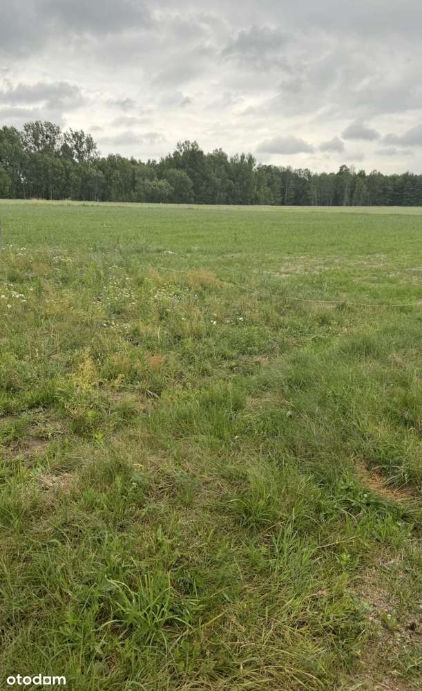 Atrakcyjne Działki Rafałówka - Pełny obrazek: 5/7