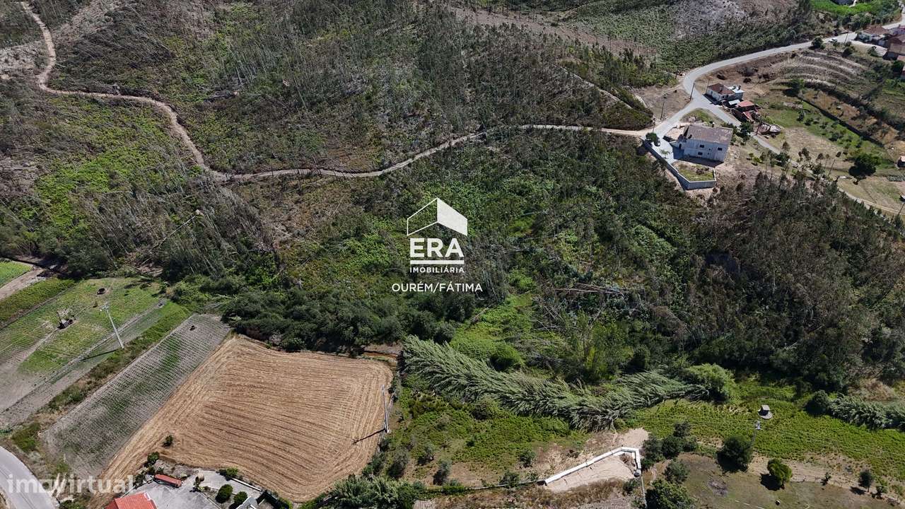 Terreno Florestal em Matas, Ourém-1