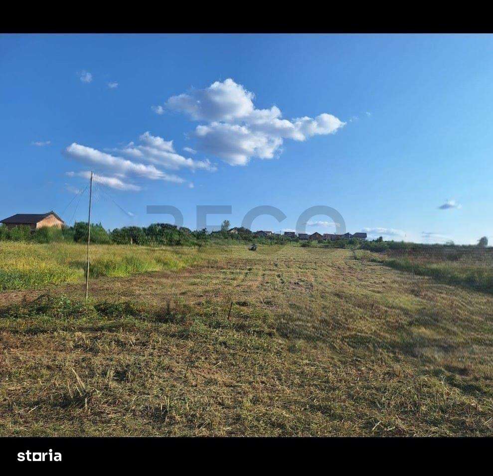 RECO Teren intravilan Paleu - Imagine principală: 2/2