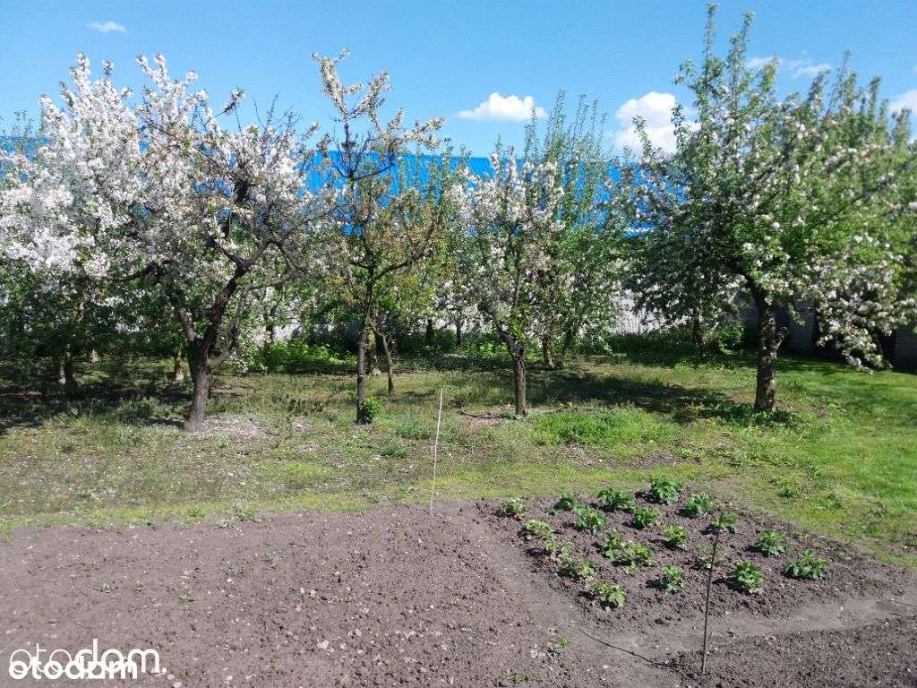 bezpośrednio, dom, magazyny, 3 garaże - Pełny obrazek: 5/5