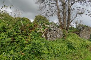 Terreno agrícola - Grande imagem: 3/9