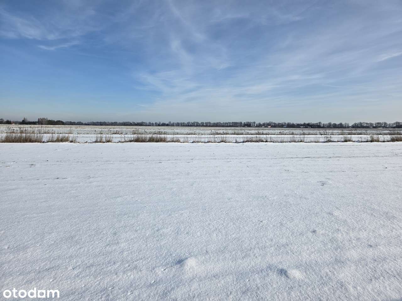 Gm. Niemce_10 minut do Lublina_MPK_ścieżka rowerowa_lasy kozłowieckie-2