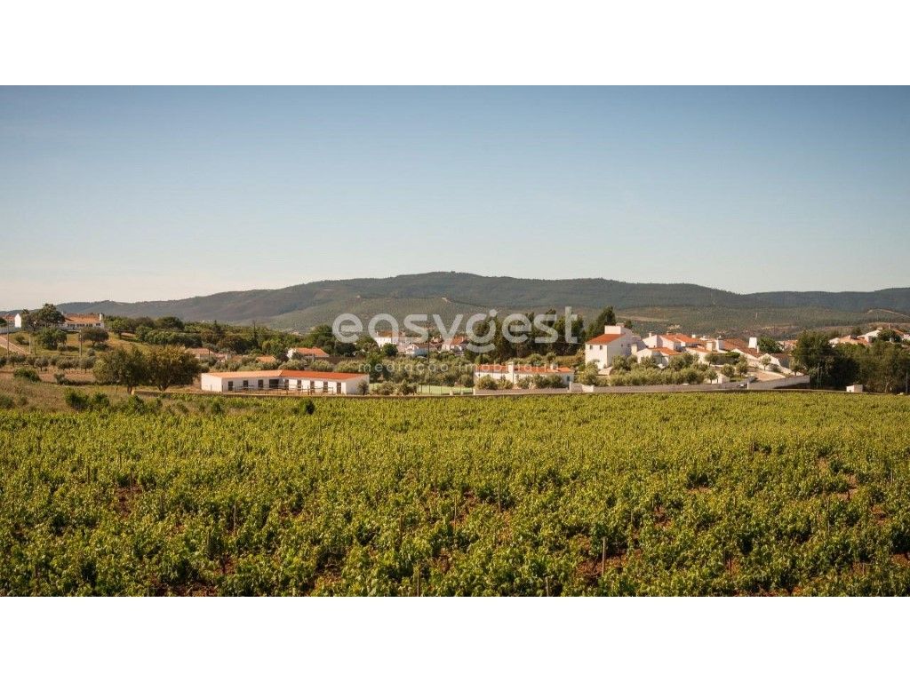 Fabulosa Herdade/Aldeamento turístico no Alentejo, Estremoz