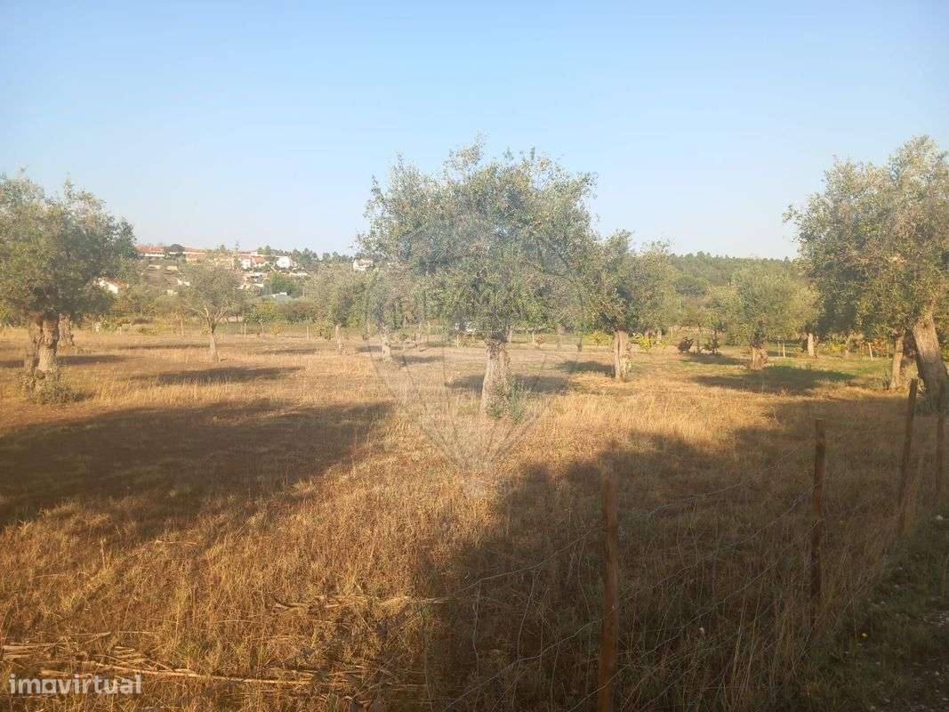 Terreno  para venda - Grande imagem: 4/5