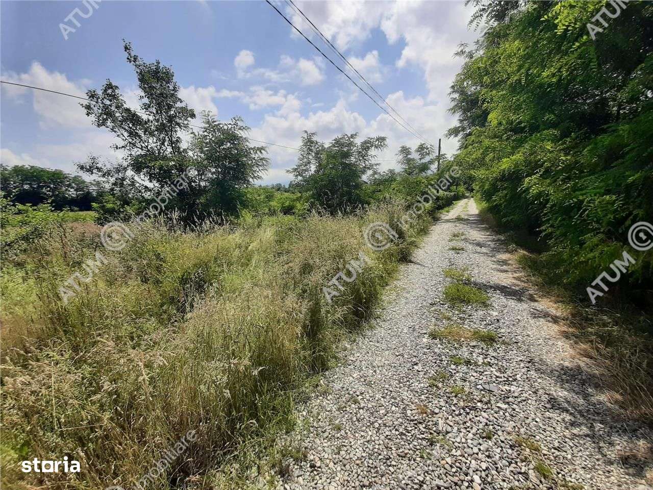 Teren Intravilan pe Valea Avrigului loc Avrig suprafata 7100 mp - Imagine principală: 3/4