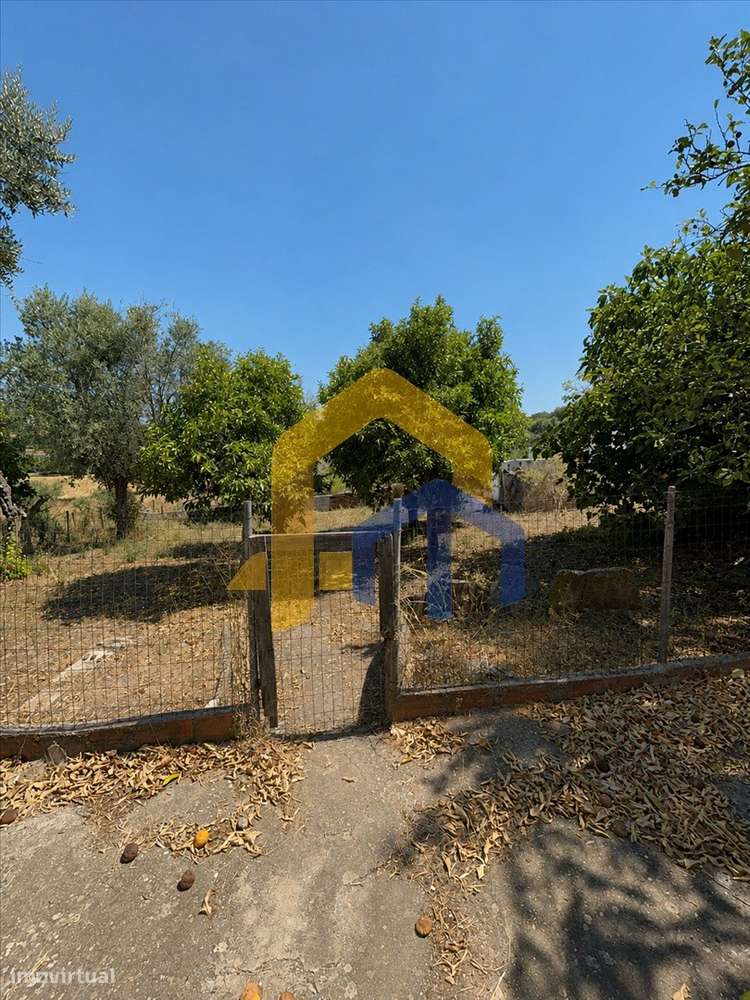 Quintinha para Recuperação Total em Glória – Estremoz-43
