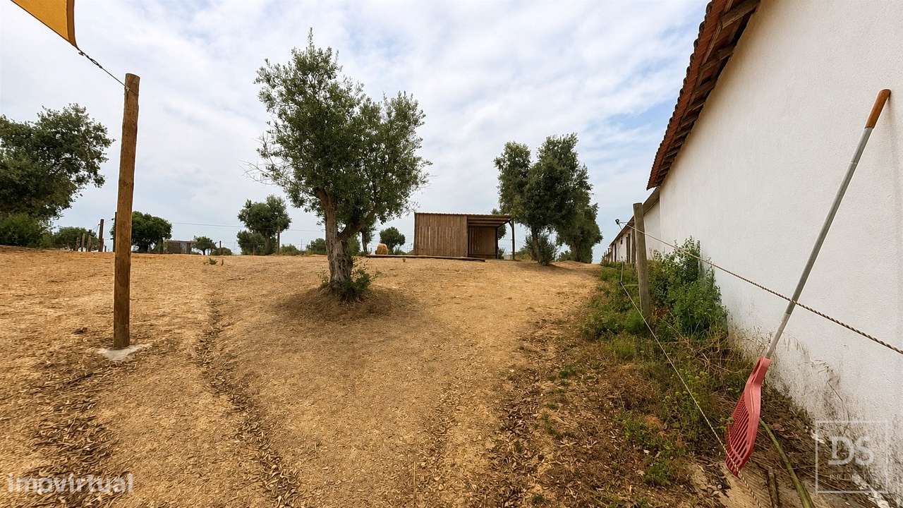 Quinta T7 Venda em Achete, Azoia de Baixo e Póvoa de Santarém,Santarém-22