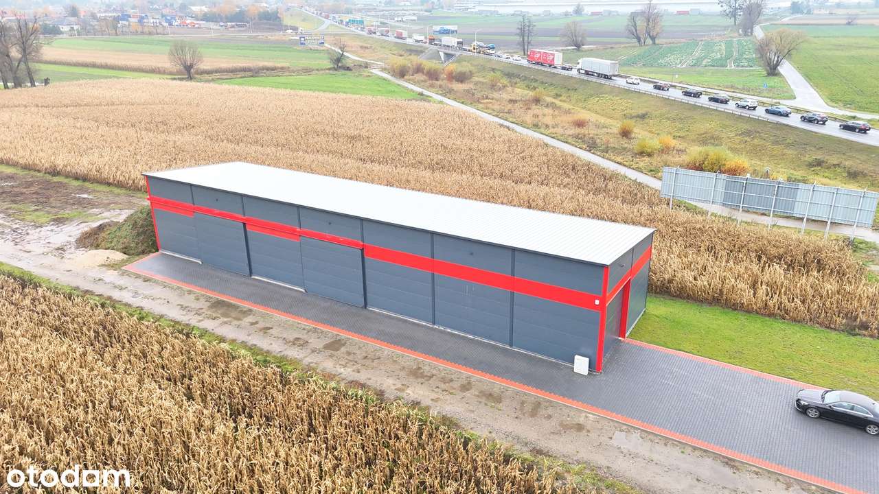 Wynajem hali Skalmierzyce nowoczesny uniwersal. magazynowo-produkcyjny - Pełny obrazek: 5/8