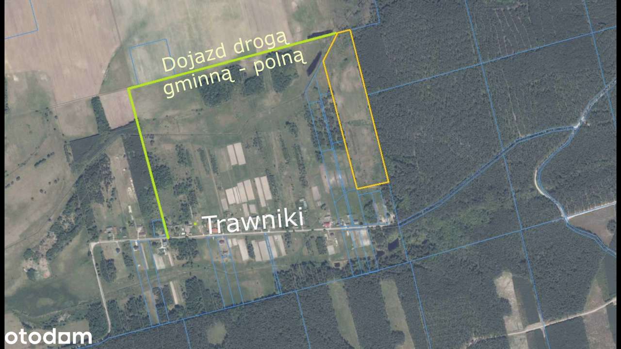 5,87ha = 6,9% wsi Trawniki szer. 110 x 536-11