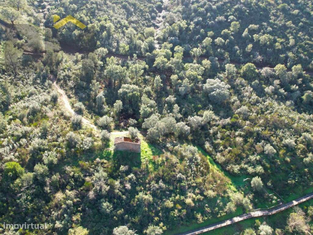 Terreno de 16,75hectares com ruina | Junto ao Rio Tejo - Grande imagem: 4/14