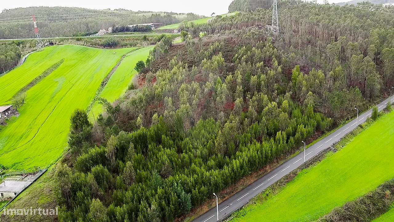 Terreno  para venda - Grande imagem: 5/13