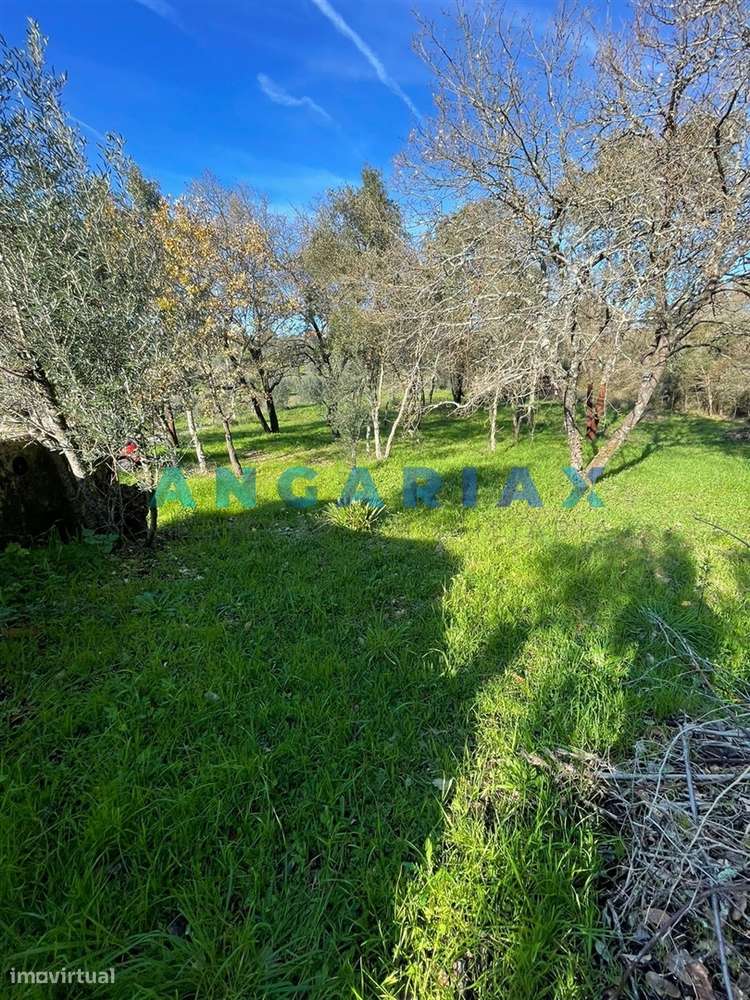 ANG1540 - Terreno para Venda em Alviobeira, Tomar - Grande imagem: 3/5