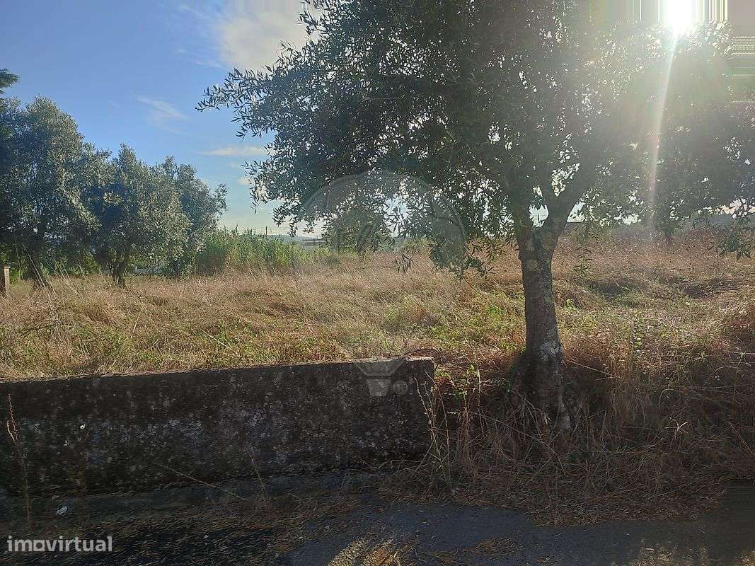 Terreno  para venda-10
