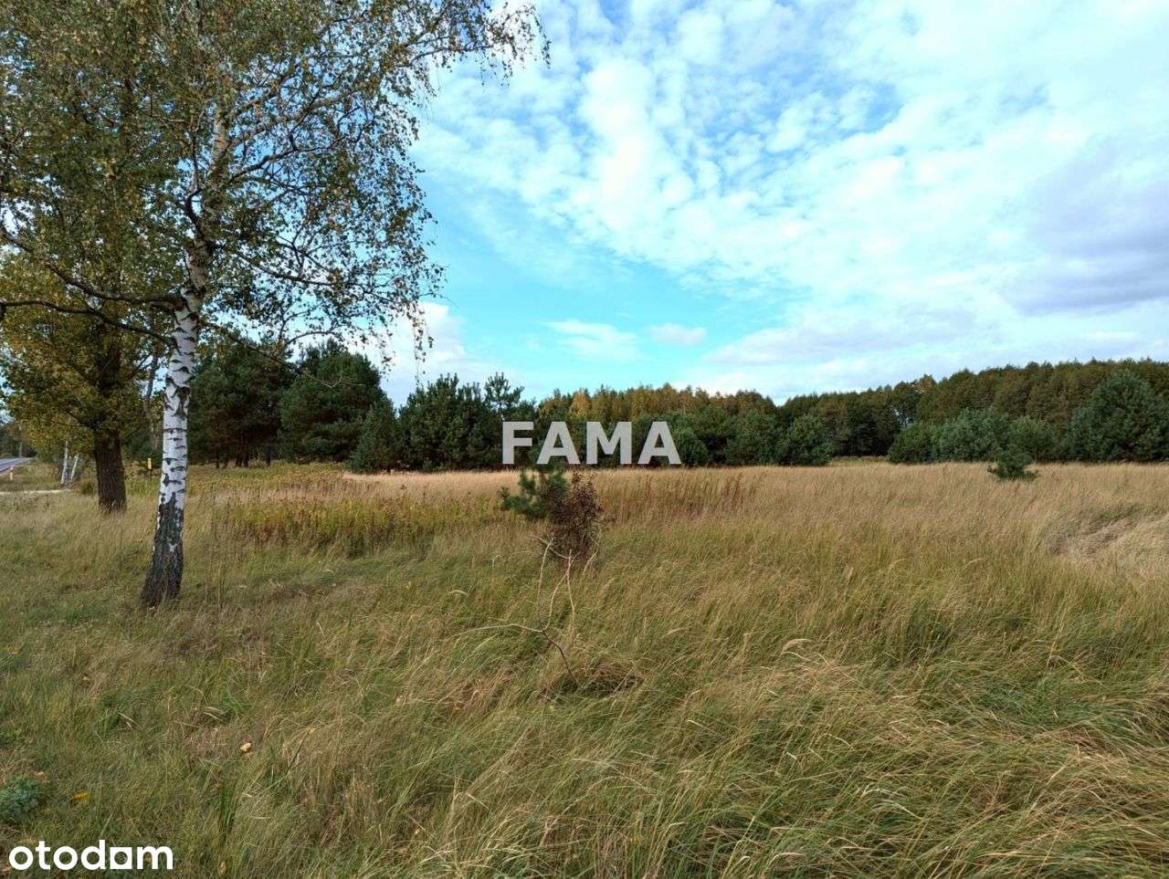 Działka budowlana, Mostki, gm. W-ek, asfalt, media - Pełny obrazek: 5/10