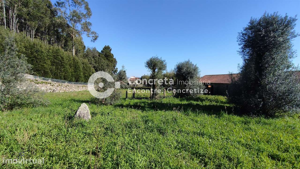 Quinta T5 em Grimancelos, Barcelos - Grande imagem: 5/32