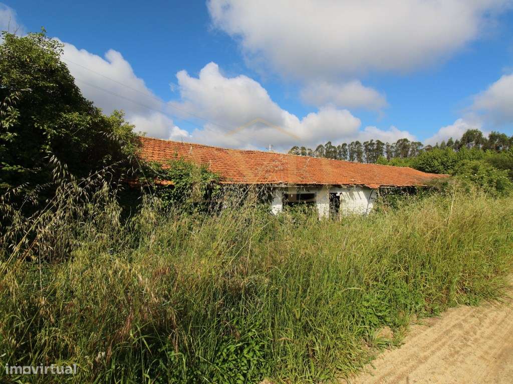 Armazém para venda em Amoreira da Gândara, Anadia | Antigos aviário...-5