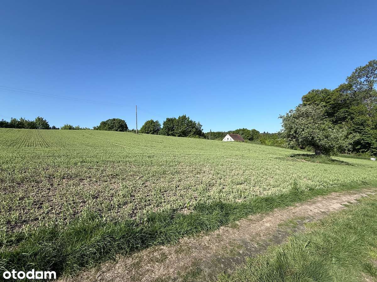 Działka z WZ! Zabudowa mieszkaniowa jednorodzinna - Pełny obrazek: 2/6