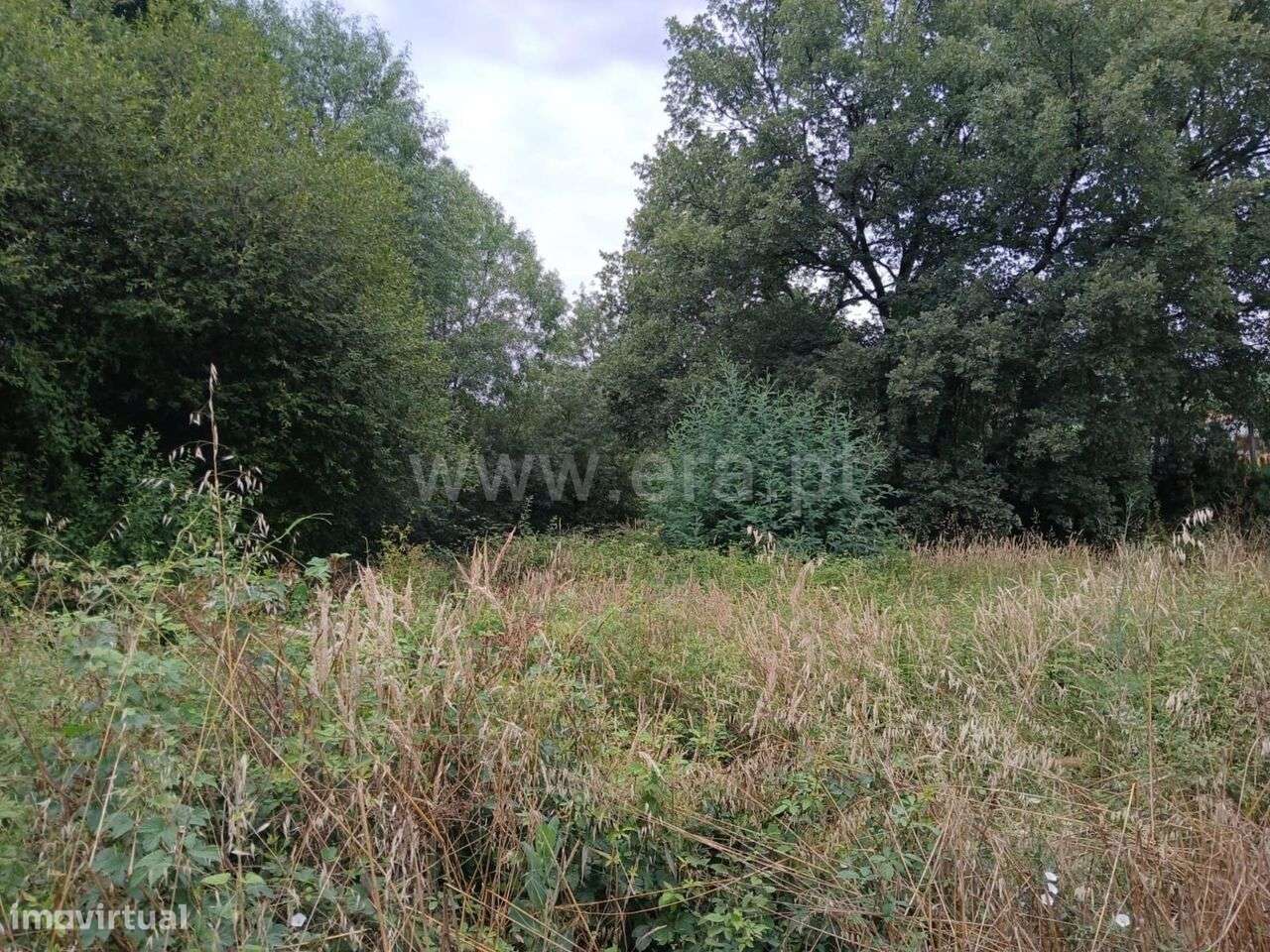 Terreno / Fundão, Atalaia do Campo - Grande imagem: 5/9