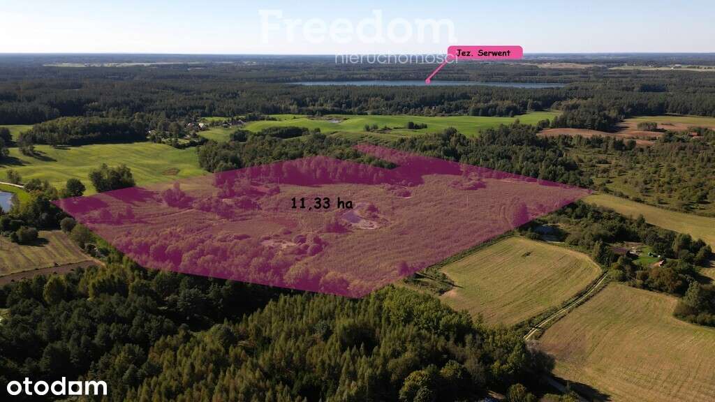 Duże malownicze siedlisko - Pełny obrazek: 4/12