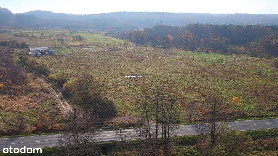 Działka 2ha-płaska, przy głównej drodze, budowlana-7