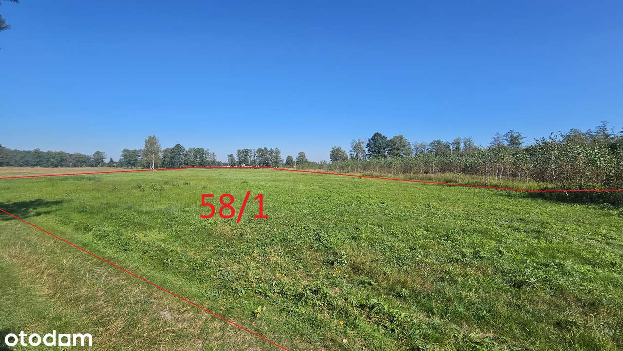 Luboradów – działka budowlana z dużą działką rolną przy lesie, 9 000m2 - Pełny obrazek: 4/7