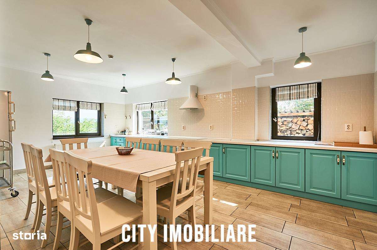 Casa de vacanta in Toplita, langa partia de schi, ideala pentru relaxa-15