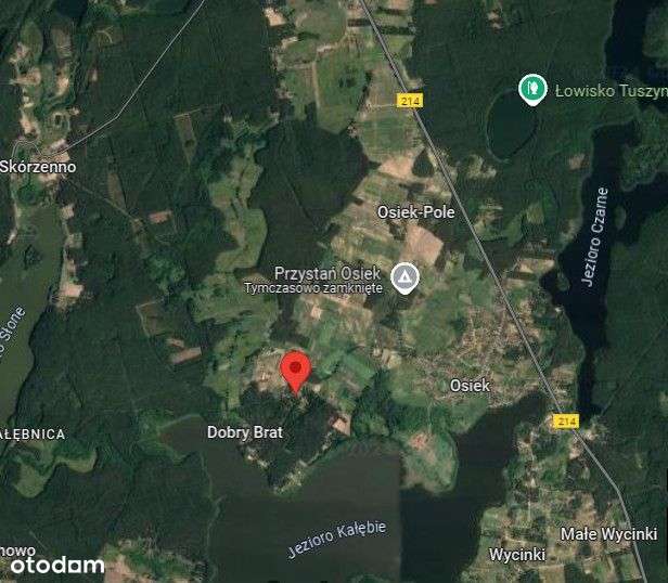 Działka w Borach Tucholskich - Pełny obrazek: 4/6