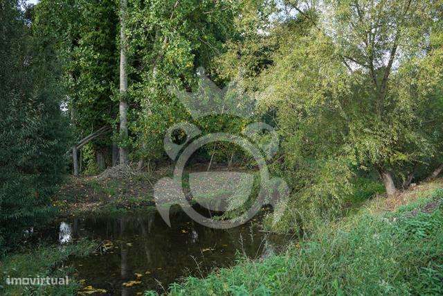 Propriedade com 6 habitações - Pintada - Montemor-o-Novo-39