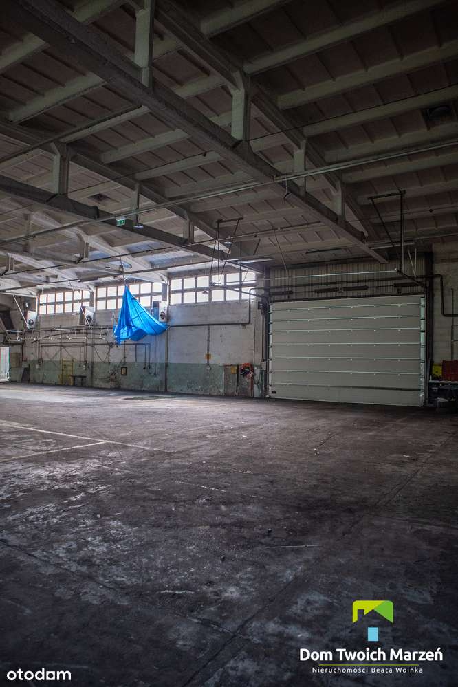 Hala-Magazynowo - Produkcyjna 3100,30m2 Bydgoszcz-8