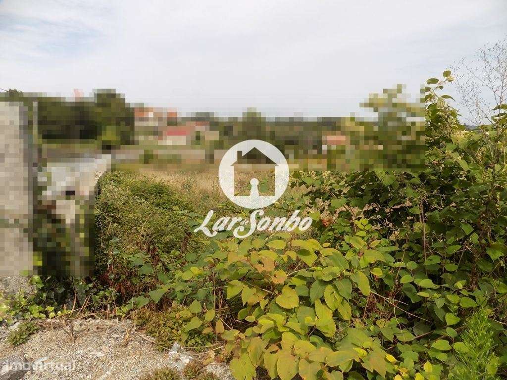 Terreno com 8.100 m2 - Landim - Grande imagem: 3/4