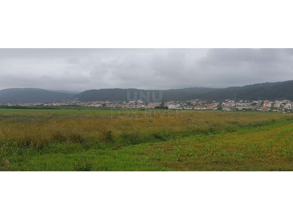 Terreno Agrícola para Venda - Areosa, Viana do Castelo - Grande imagem: 4/9
