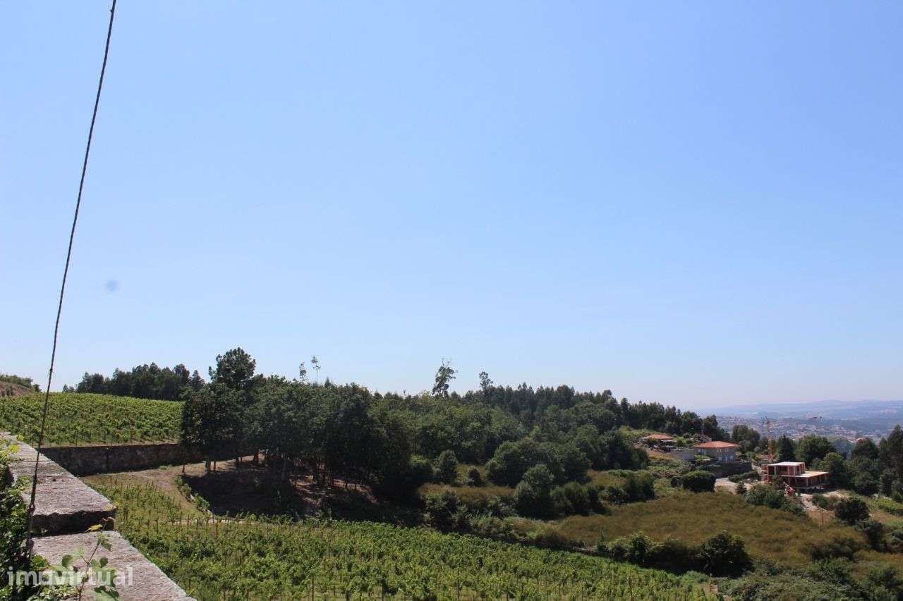 Fantástica Quinta Santo Tirso - Grande imagem: 2/20