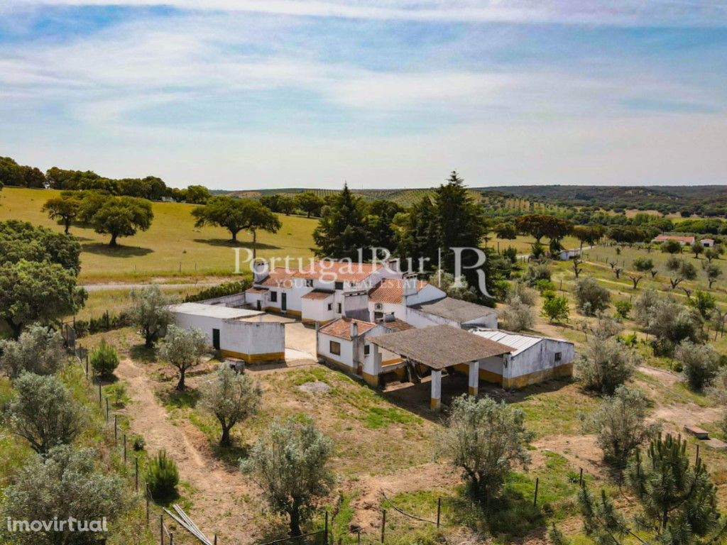 Quinta com 6,5 hectares com casa e anexos em Avis - Alentejo