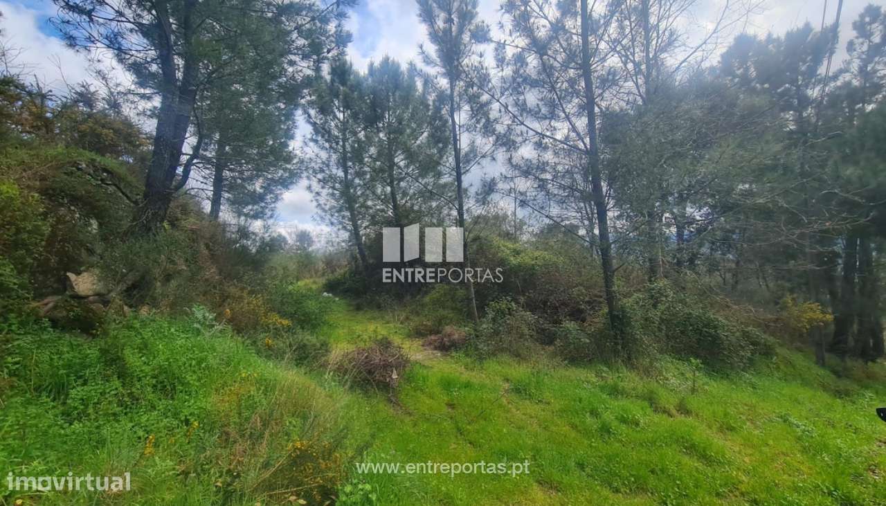 Venda Terreno, Sta. Marinha do Zêzere, Baião - Grande imagem: 2/34