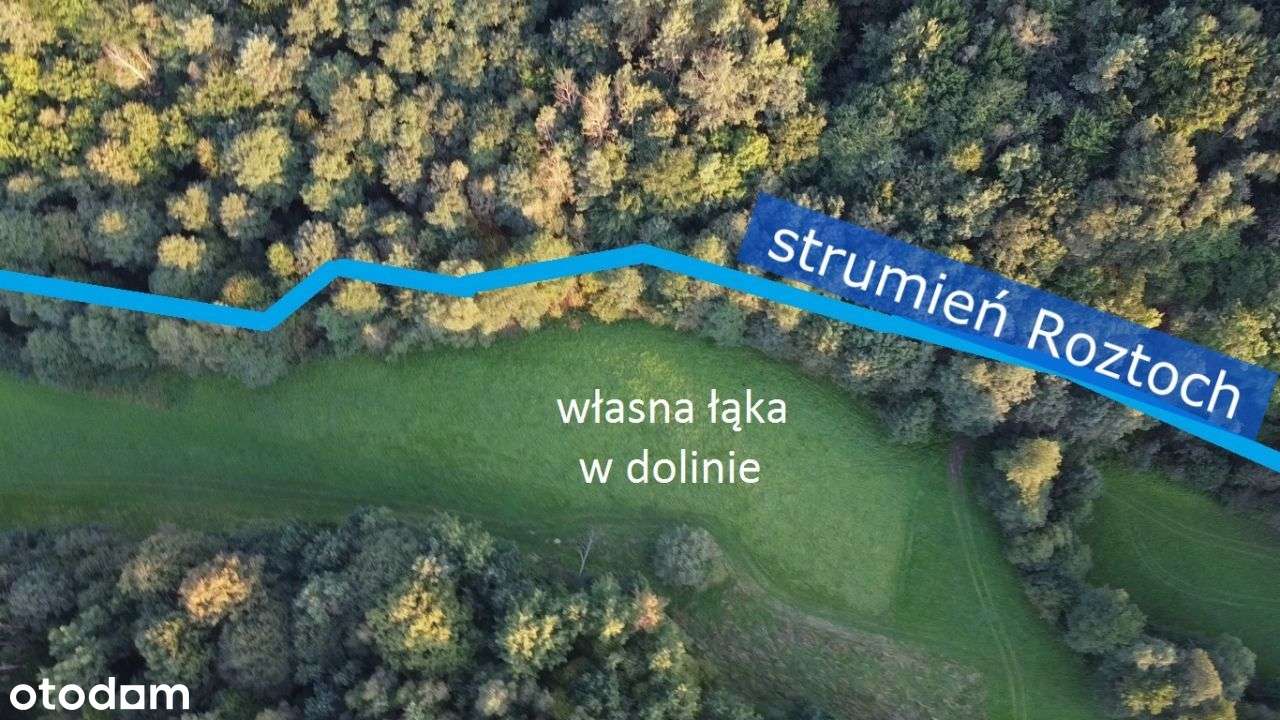 WIDOKOWA działka na WZGÓRZU z panoramą na Góry Św.-11