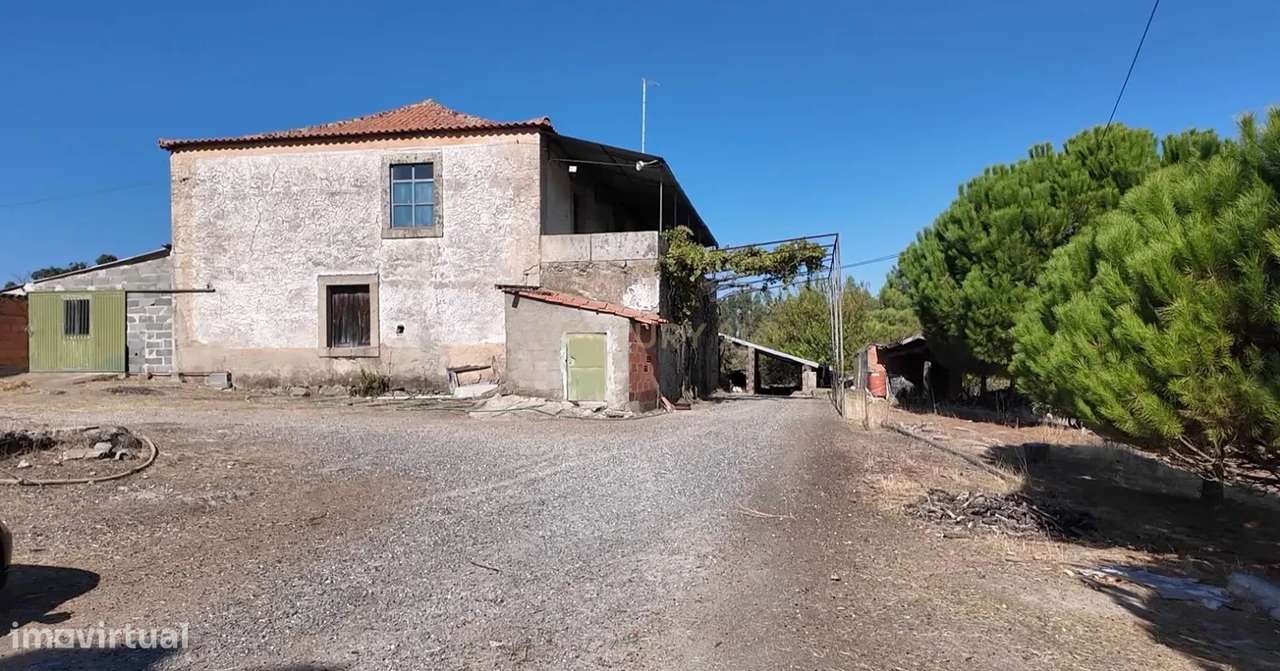 Oportunidade! Quinta S. Bartolomeu, Castelo Branco - Grande imagem: 4/20