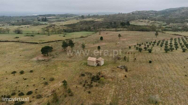 Quinta / Gouveia, Vila Cortês da Serra - Grande imagem: 4/20